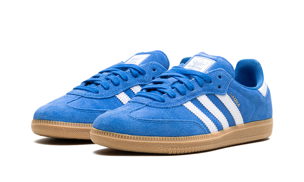 Adidas Samba ADV 'Blue Bird'
