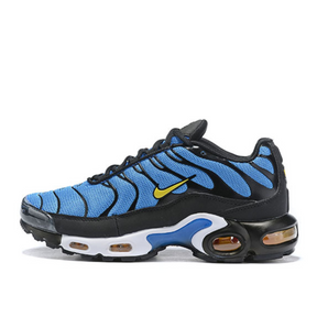 Nike Air Max plus TN "Black Blue"