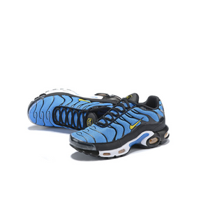 Nike Air Max plus TN "Black Blue"