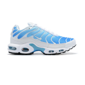 Nike Air Max Plus TN "White/Blue"