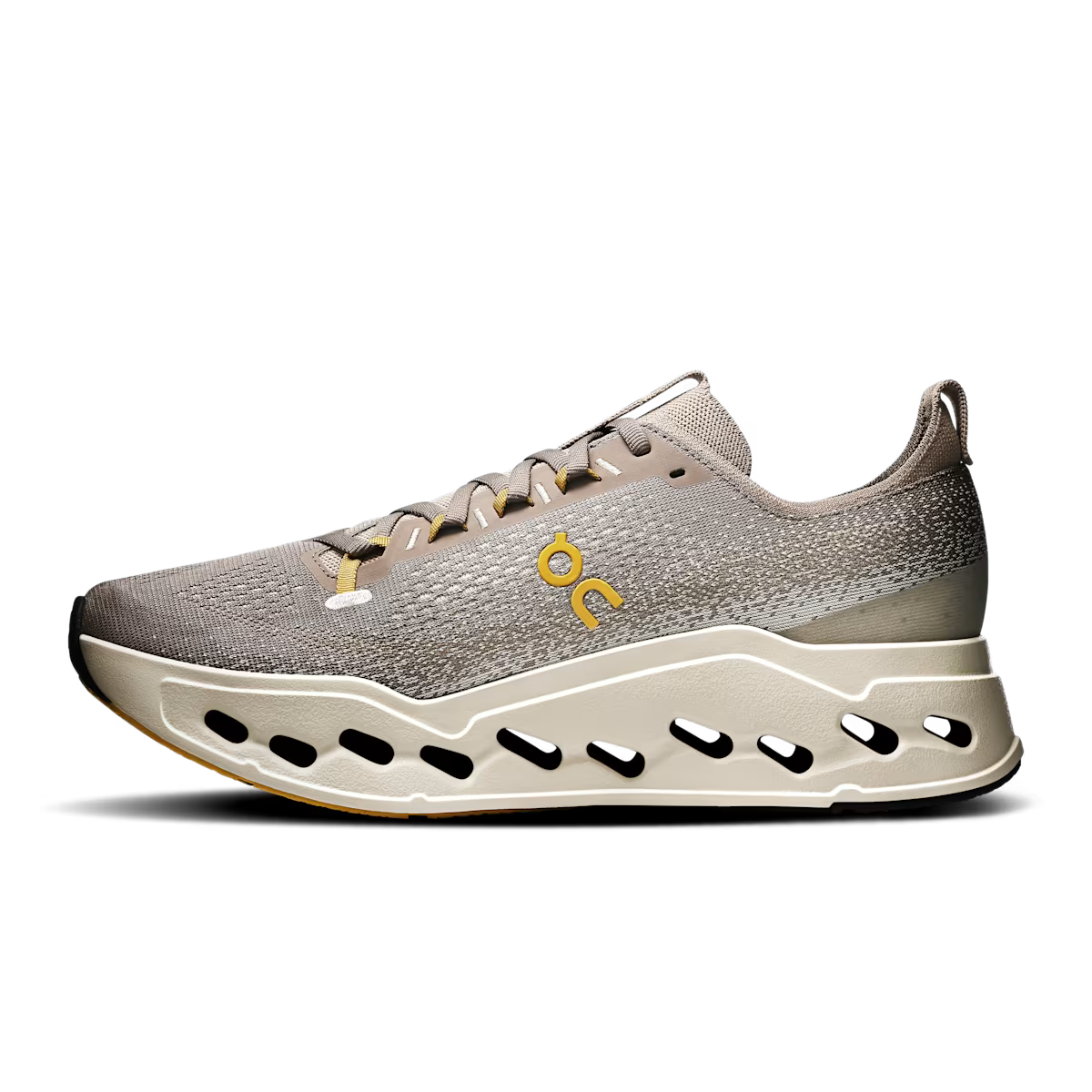 On Running Cloudsurfer Max Cinder  Pelican